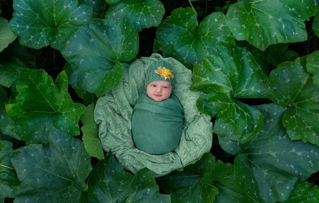 Фото обои листья, малыш, ребёнок, младенец, Екатерина Горохова