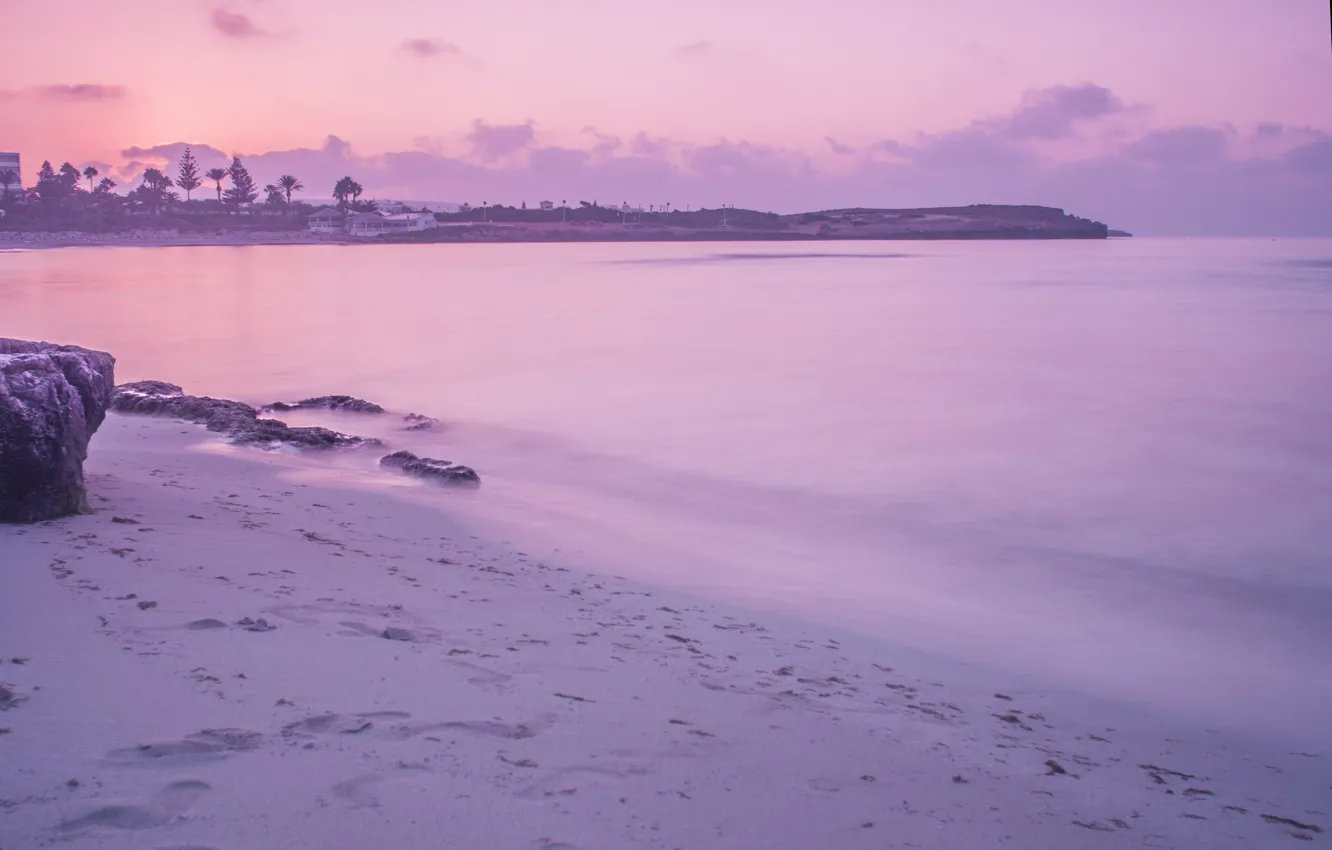 Фото обои море, вода, гладь, камни, пальмы, рассвет, берег, утро