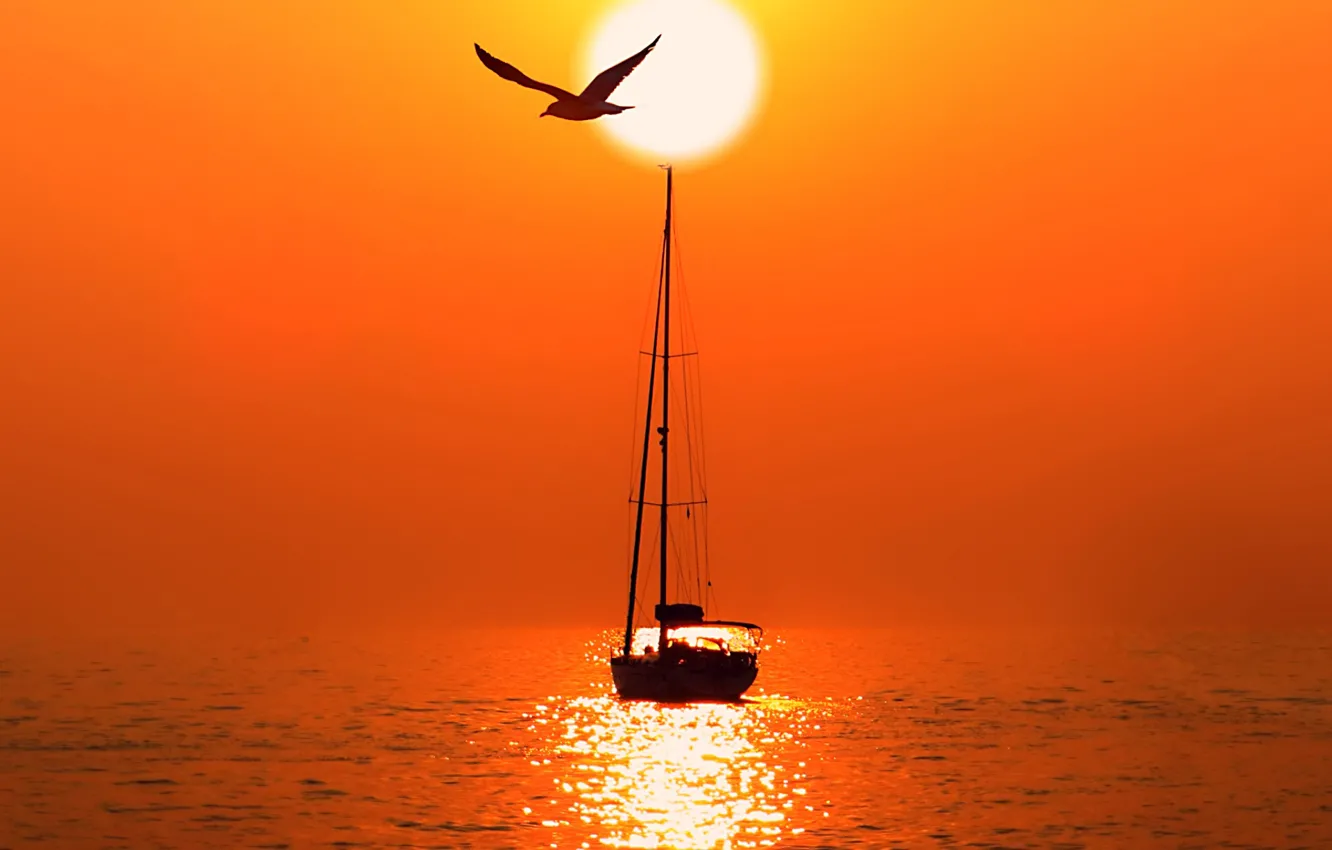 Фото обои море, солнце, чайка, вечер, яхта