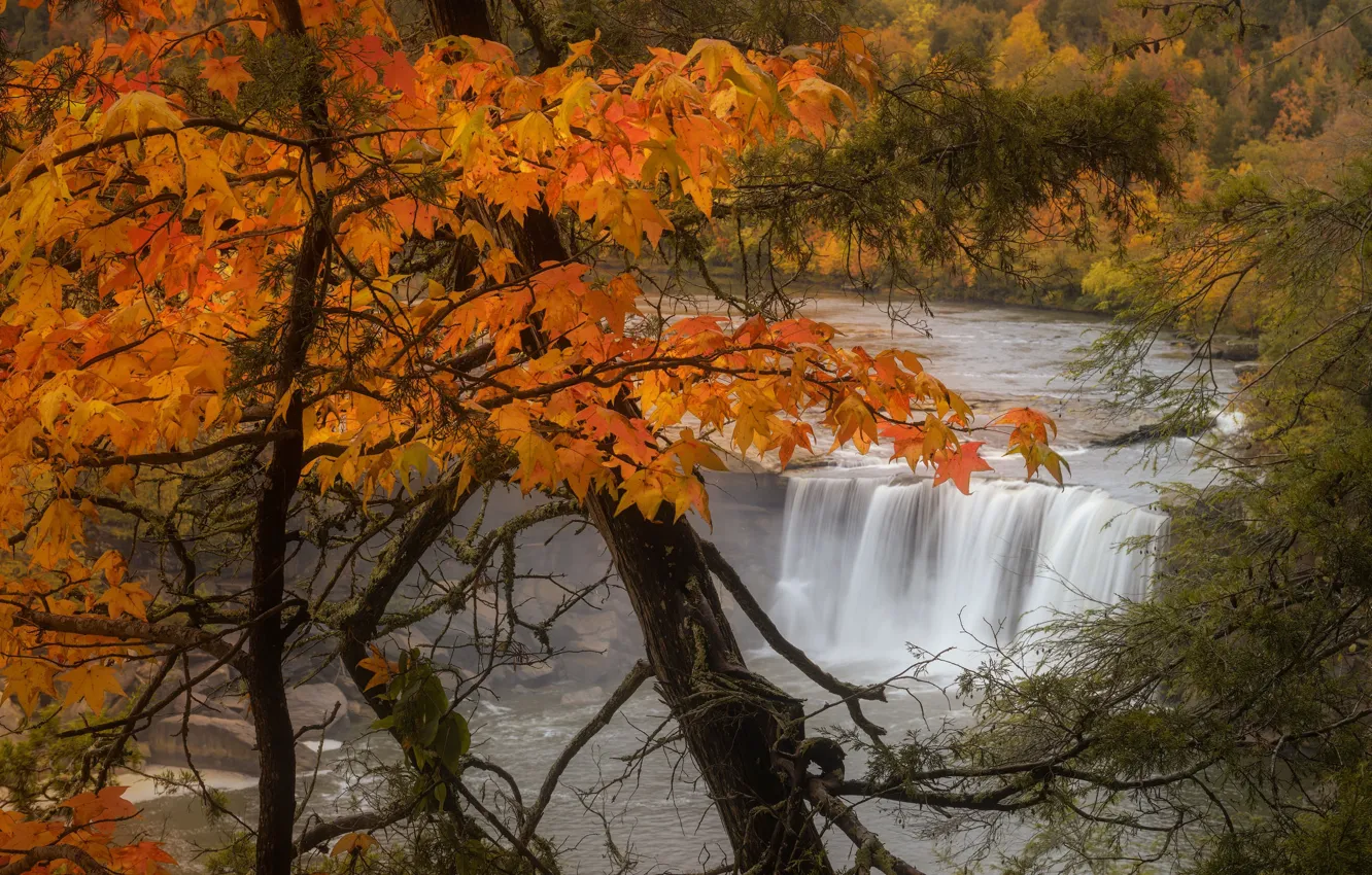 Фото обои осень, деревья, пейзаж, природа, река, водопад, США, Кентукки