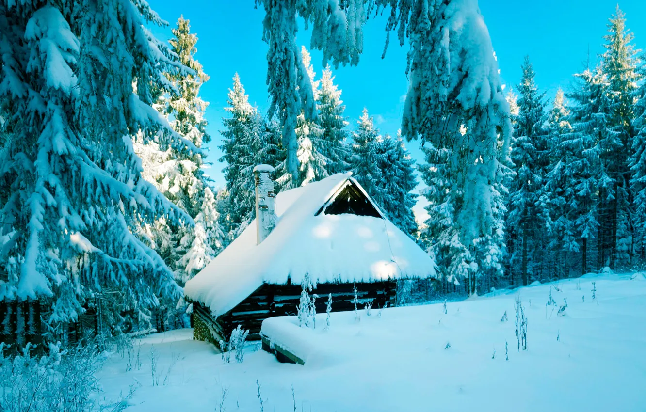 Фото обои зима, лес, снег, Польша, хижина