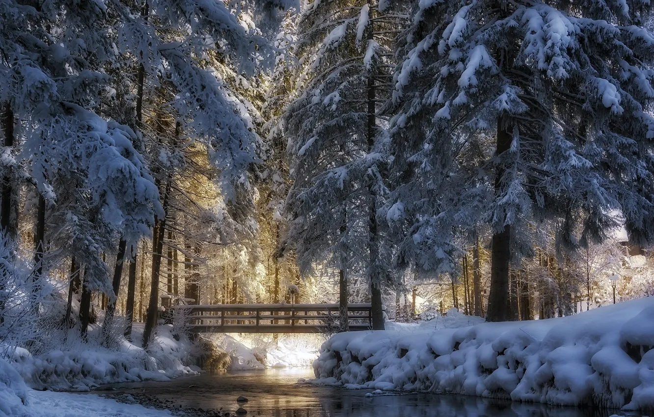 Фото обои зима, снег, деревья, пейзаж, природа, парк, лёд, речка