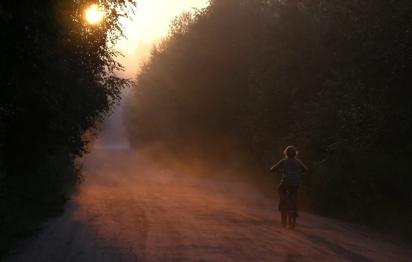 Фото обои дорога, лес, велосипед, рассвет, тишина, Утро, девочка