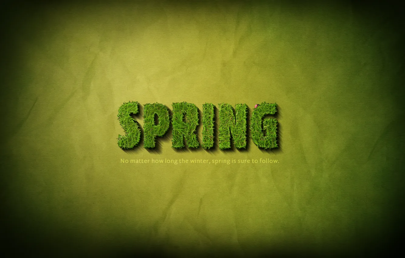 Фото обои трава, надпись, весна, grass, слова, фраза, 1920x1200, words