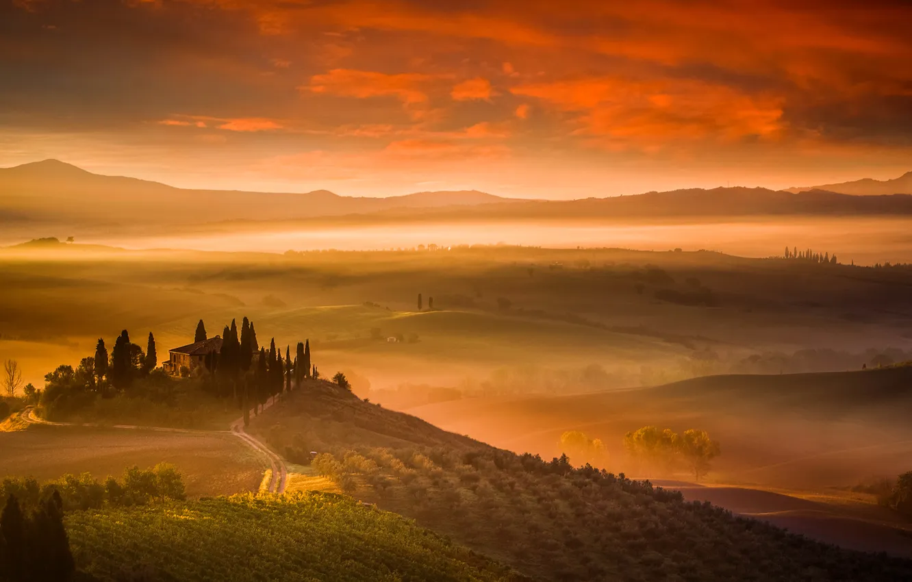 Фото обои деревья, туман, дом, холмы, поля, Италия, Тоскана