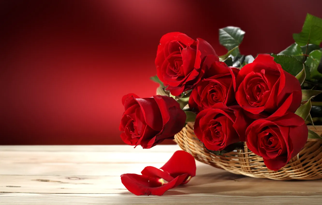 Фото обои любовь, цветы, розы, valentine's day