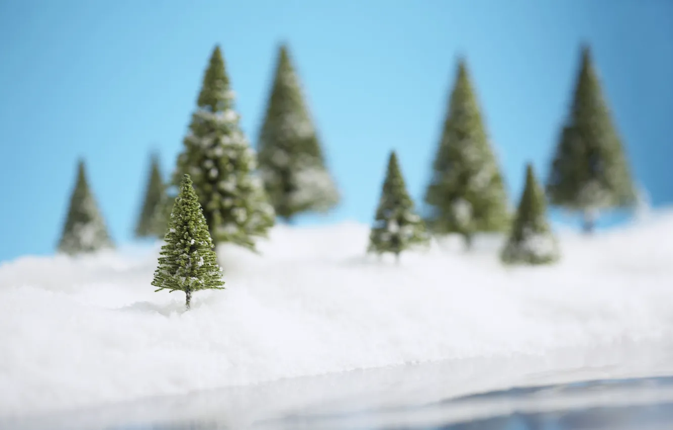 Фото обои снег, елки, новый год