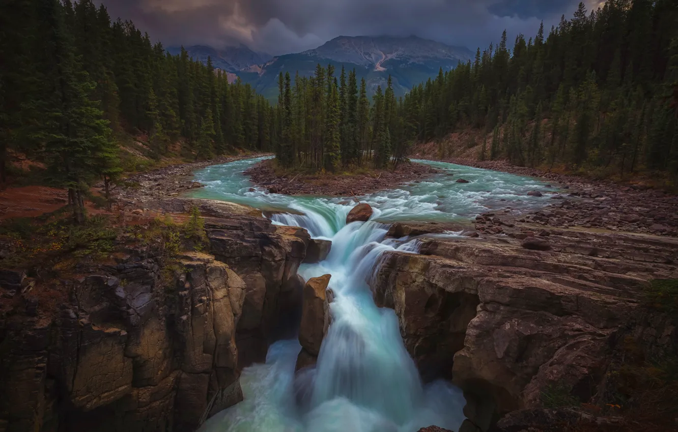 Фото обои лес, деревья, горы, река, водопад, Канада, Альберта, Alberta
