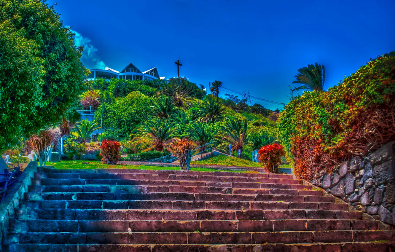 Фото обои парк, обработка, лестница, Испания, Las Palmas de Gran Canaria