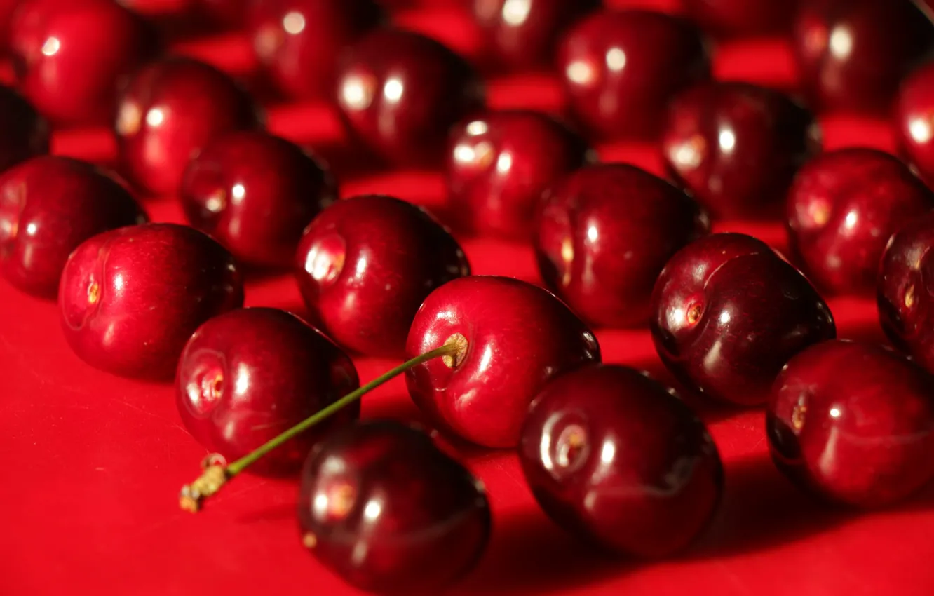 Фото обои вишня, ягоды, размытие, красные, красный фон, много, блестящие, черешня