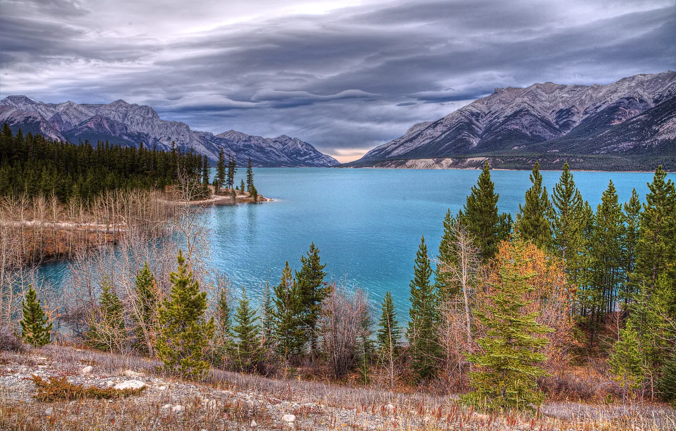 Фото обои деревья, пейзаж, горы, тучи, природа, озеро, Канада, Abraham Lake