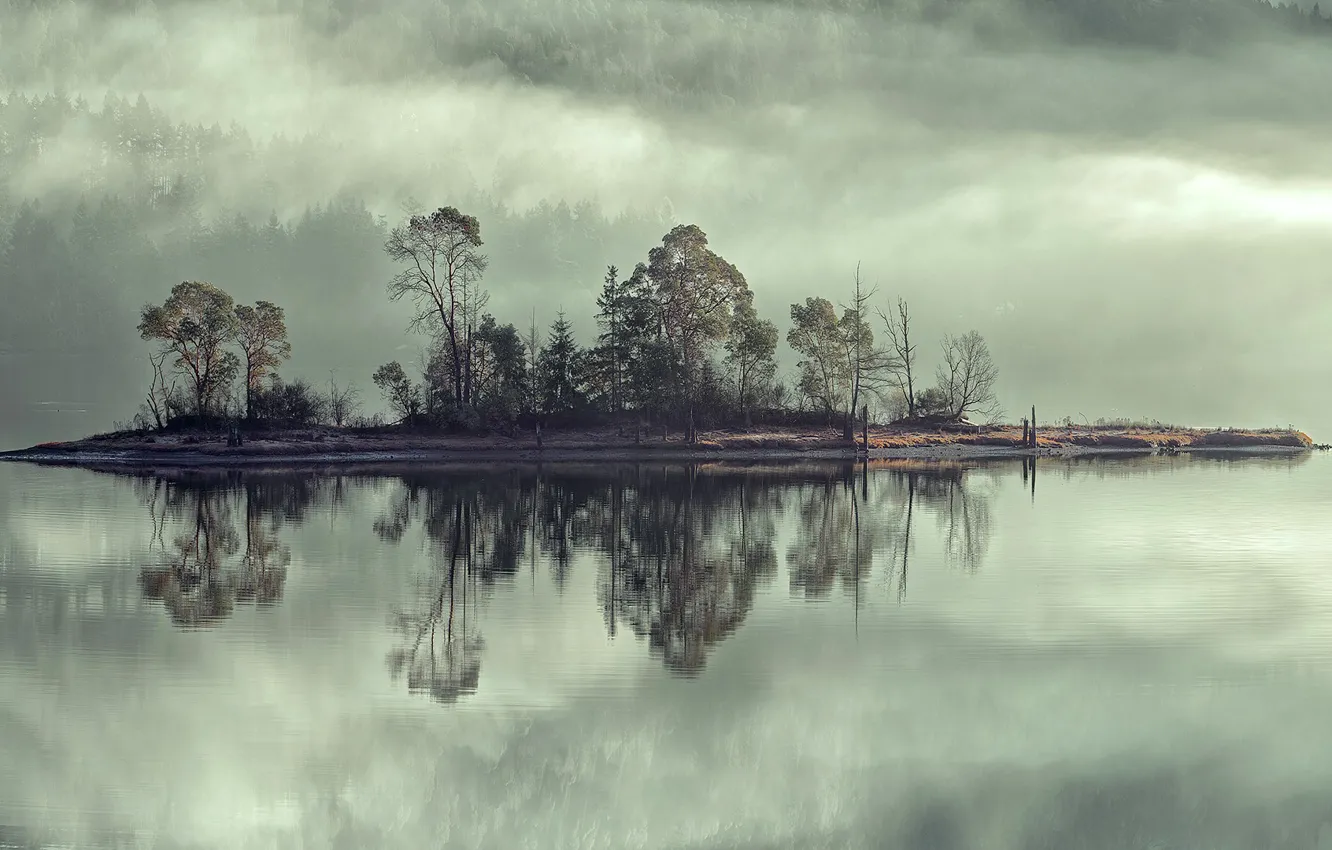 Фото обои небо, деревья, туман, озеро, река, остров