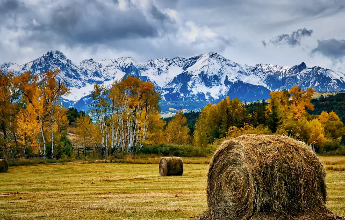 Фото обои осень, горы, сено