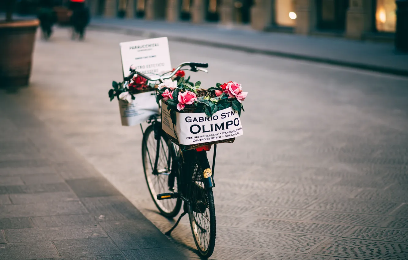 Фото обои цветы, велосипед, розы