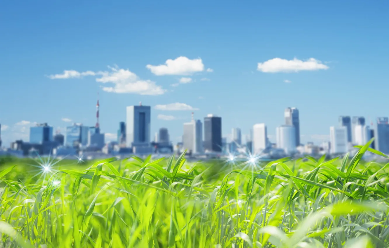 Фото обои трава, город, небоскребы, 151