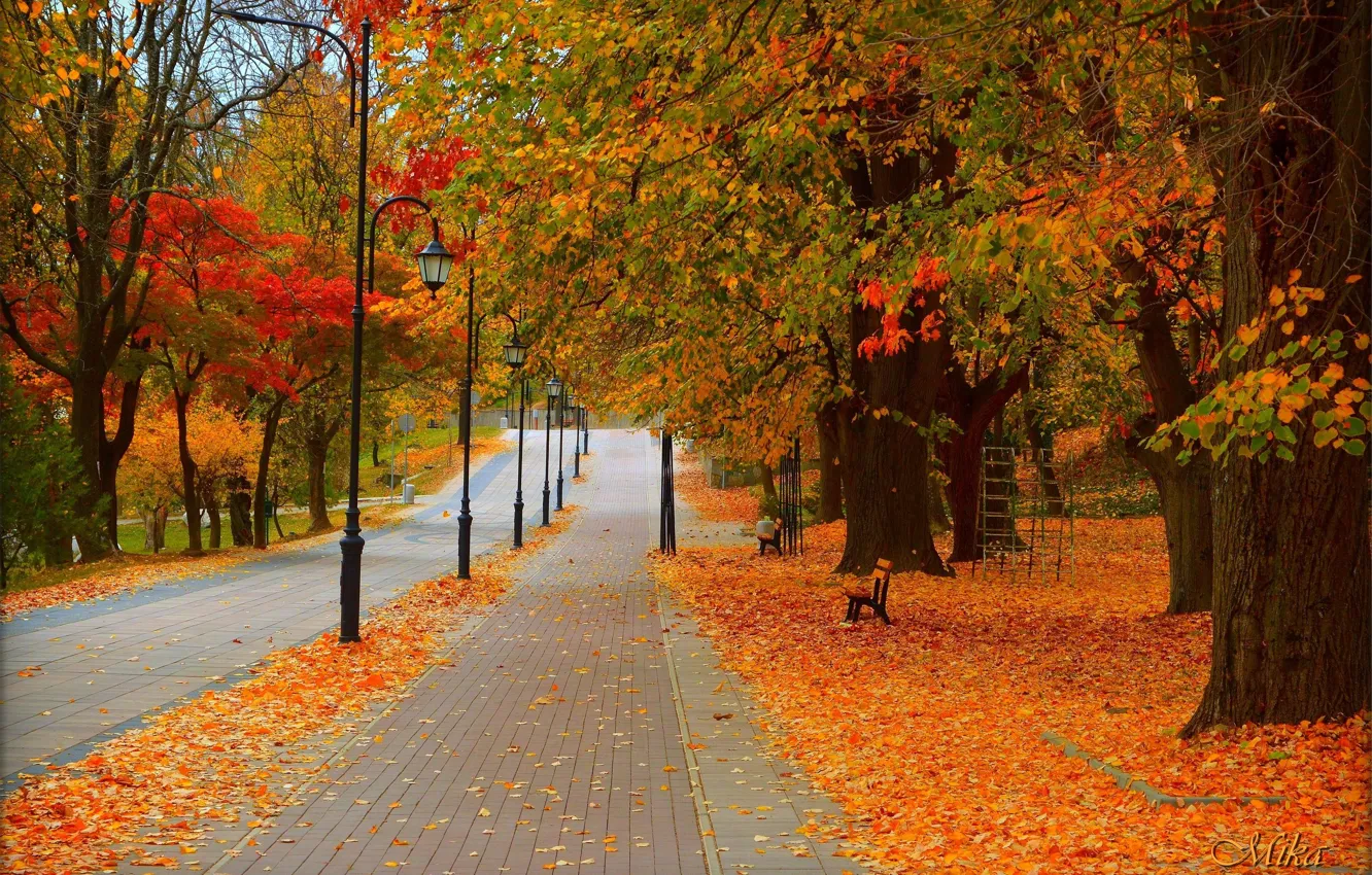 Фото обои Дорога, Осень, Деревья, Фонари, Парк, Fall, Листва, Park