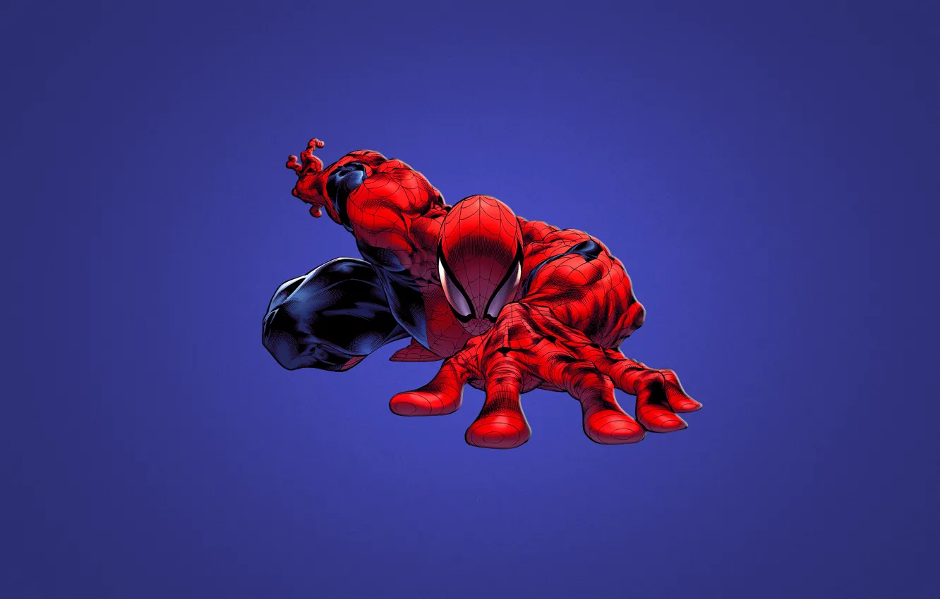 Фото обои синий, красный, red, marvel, комикс, comics, Человек-паук, Spider-Man