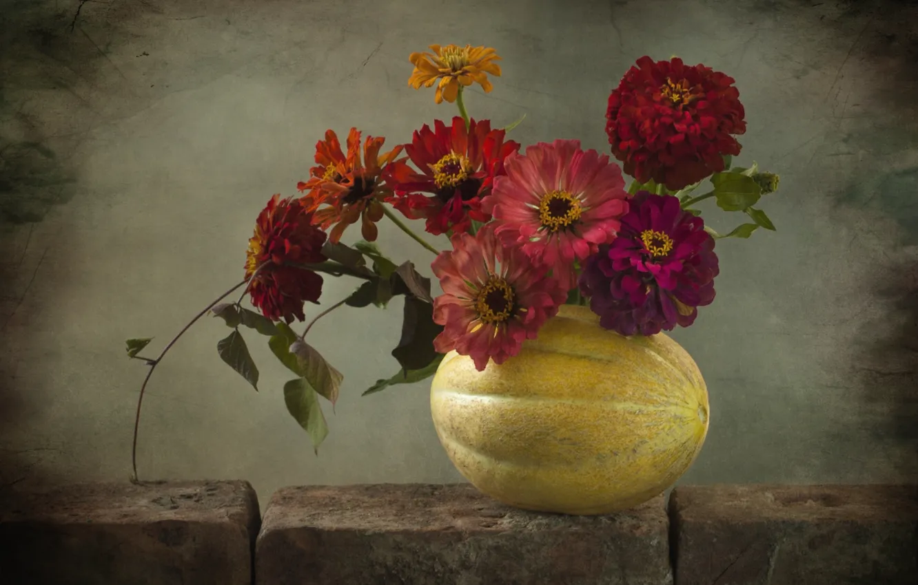 Фото обои композиция, дыня, цинния