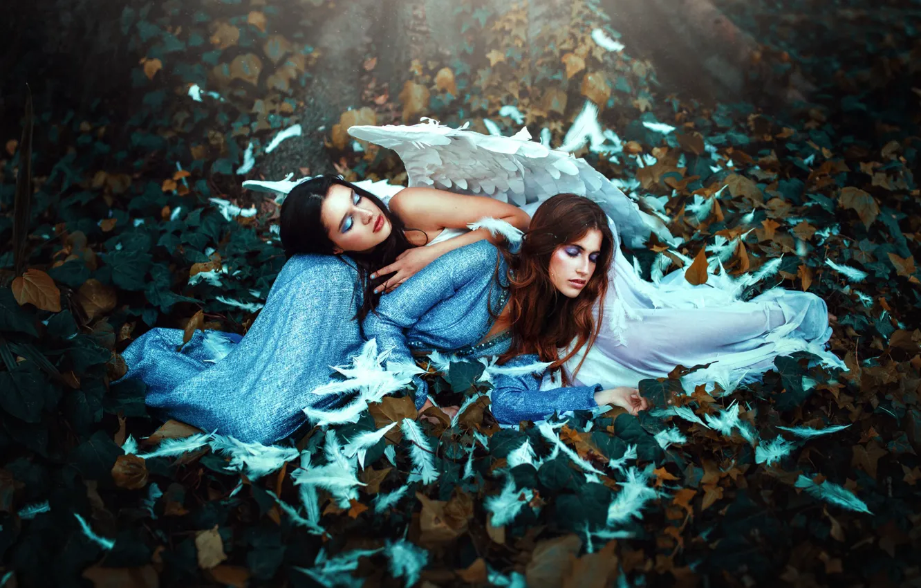 Фото обои фон, девушки, крылья, перья, лежат