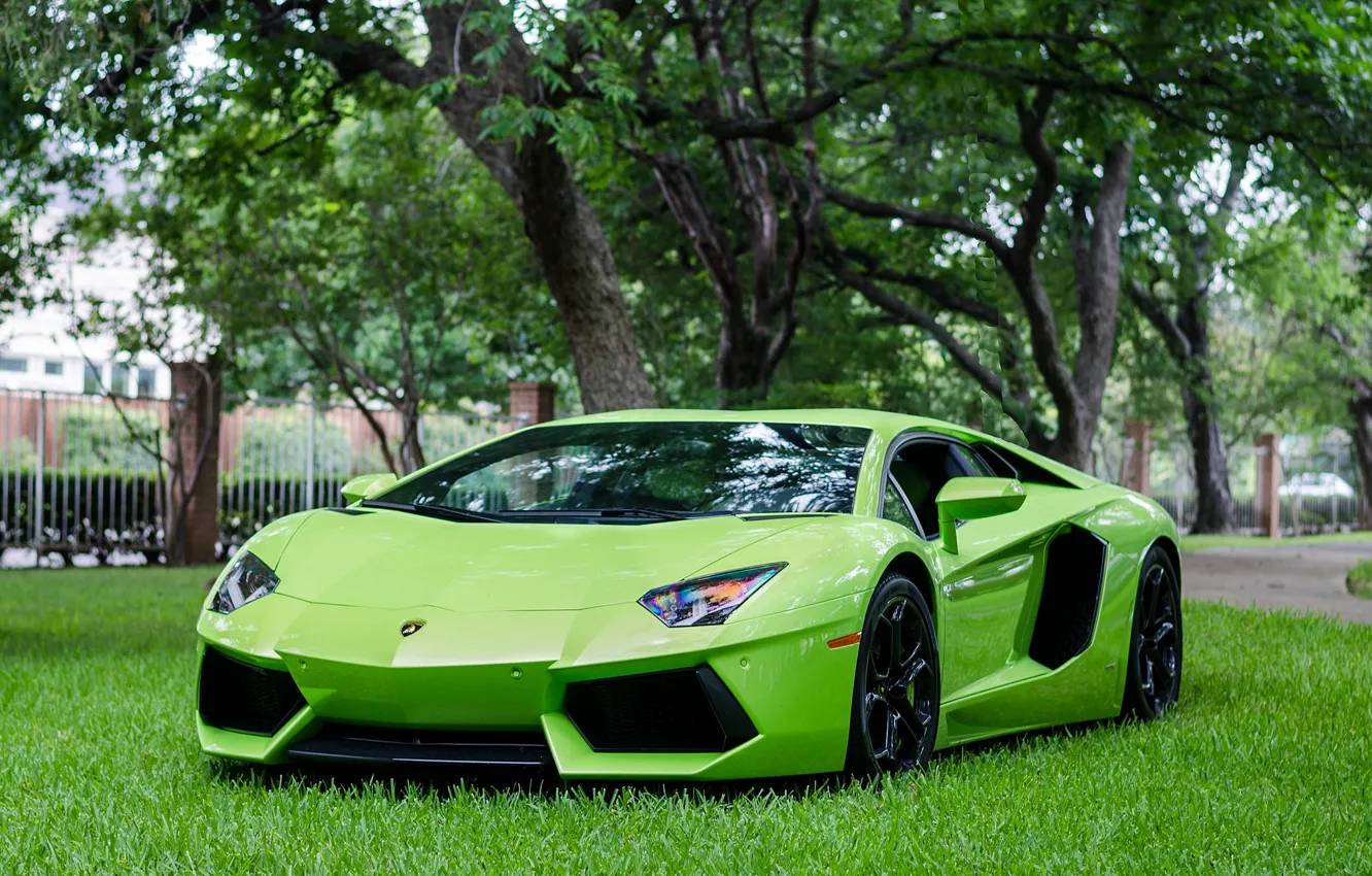 Фото обои Lamborghini, Green, LP700-4, Aventador