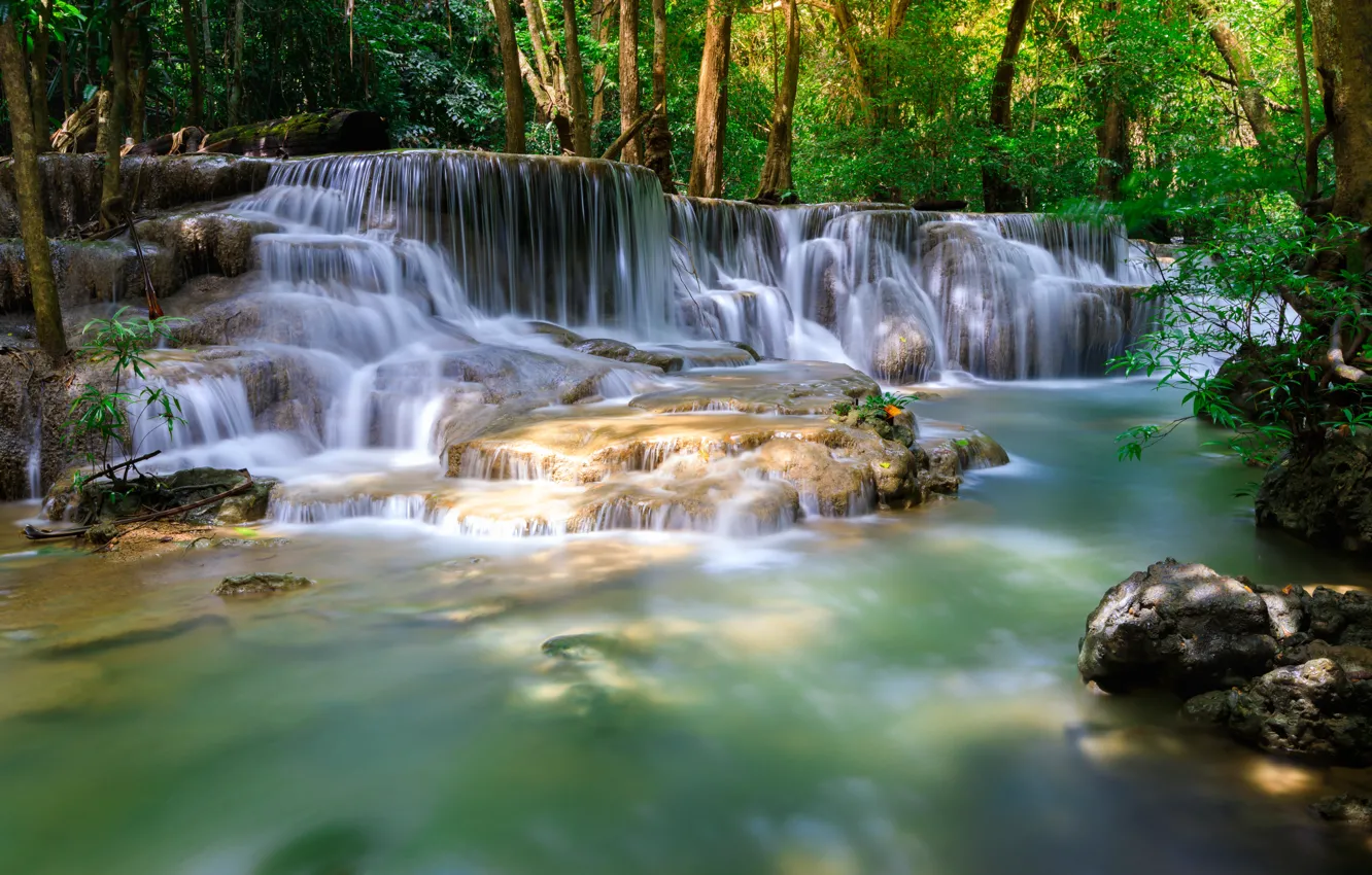 Фото обои лес, пейзаж, река, скалы, водопад, summer, forest, тропический