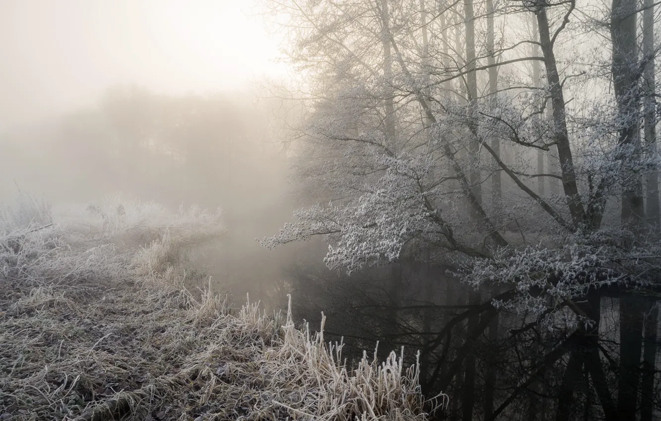 Фото обои зима, иней, туман, река