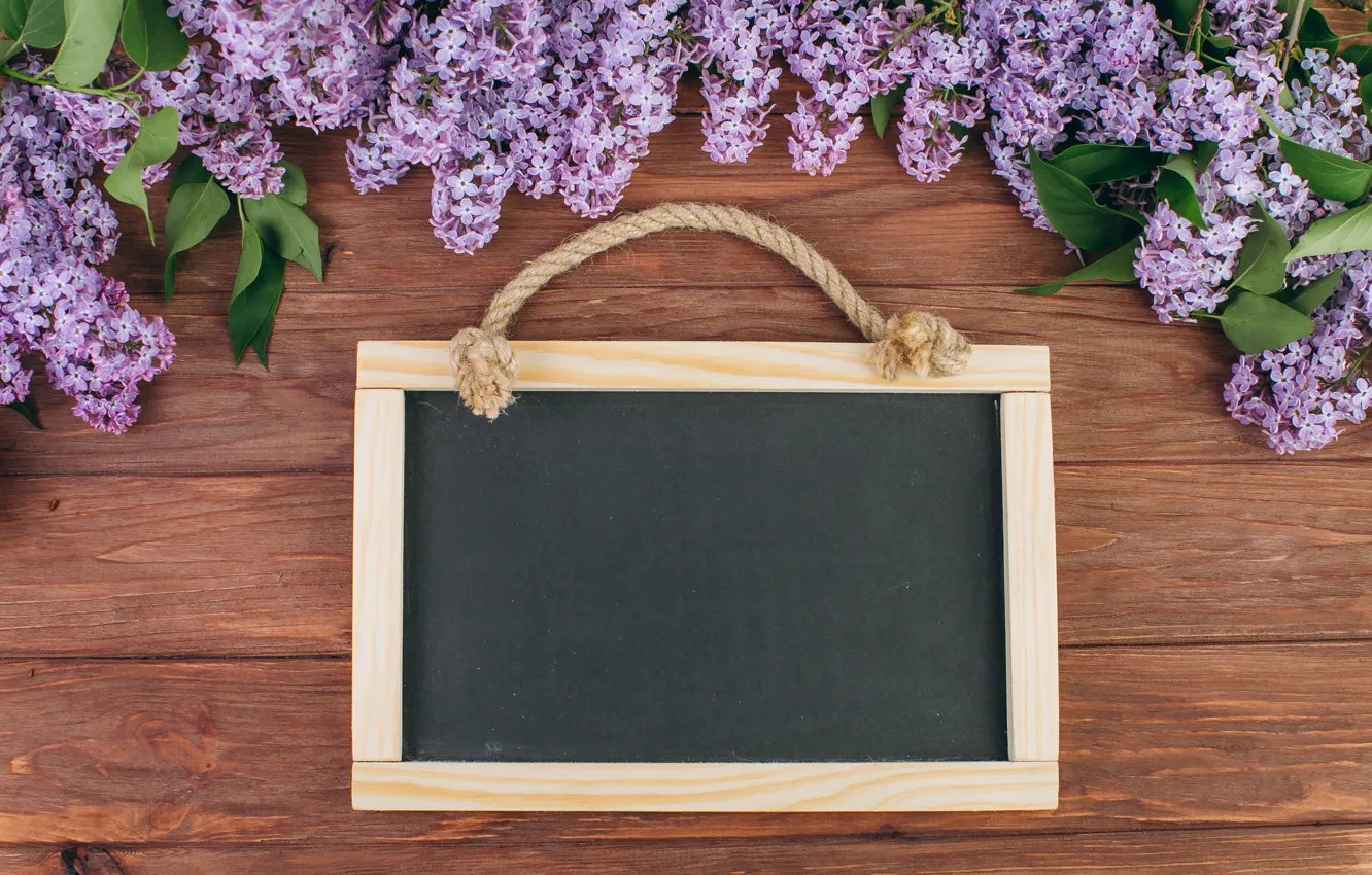 Фото обои цветы, ветки, весна, рамка, доска, цветение, wood, blossom