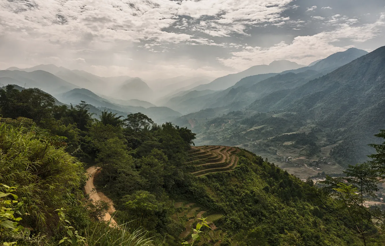 Фото обои лес, горы, туман, долина, Вьетнам