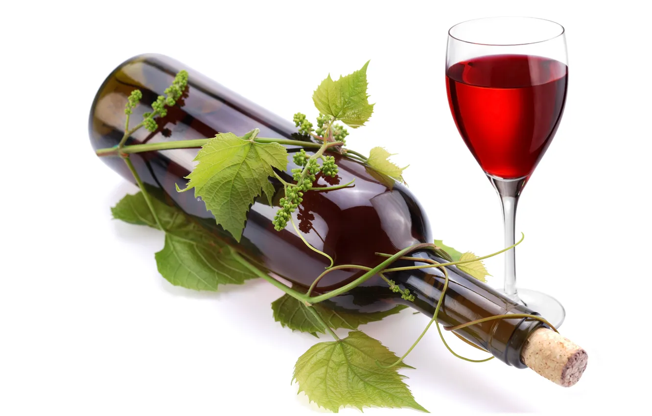 Фото обои листья, вино, красное, бокал, бутылка, лоза