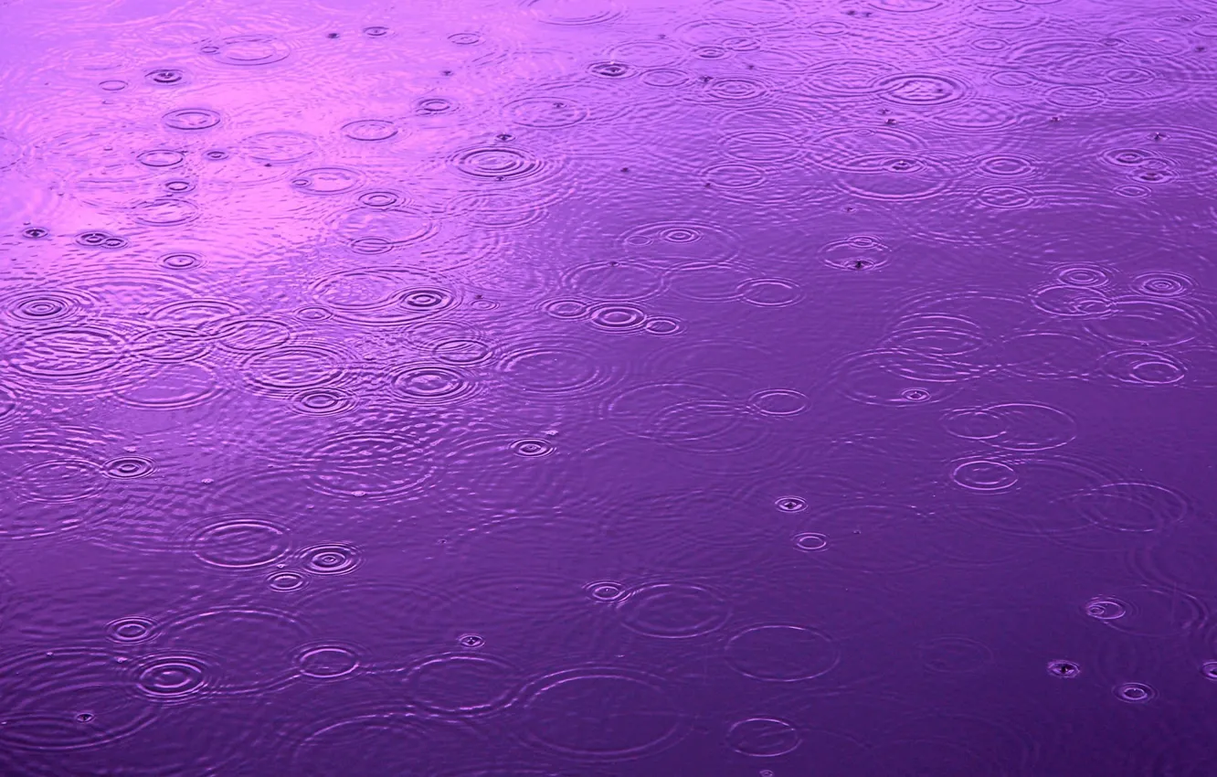 Фото обои вода, капли, круги, цвет, Дождь