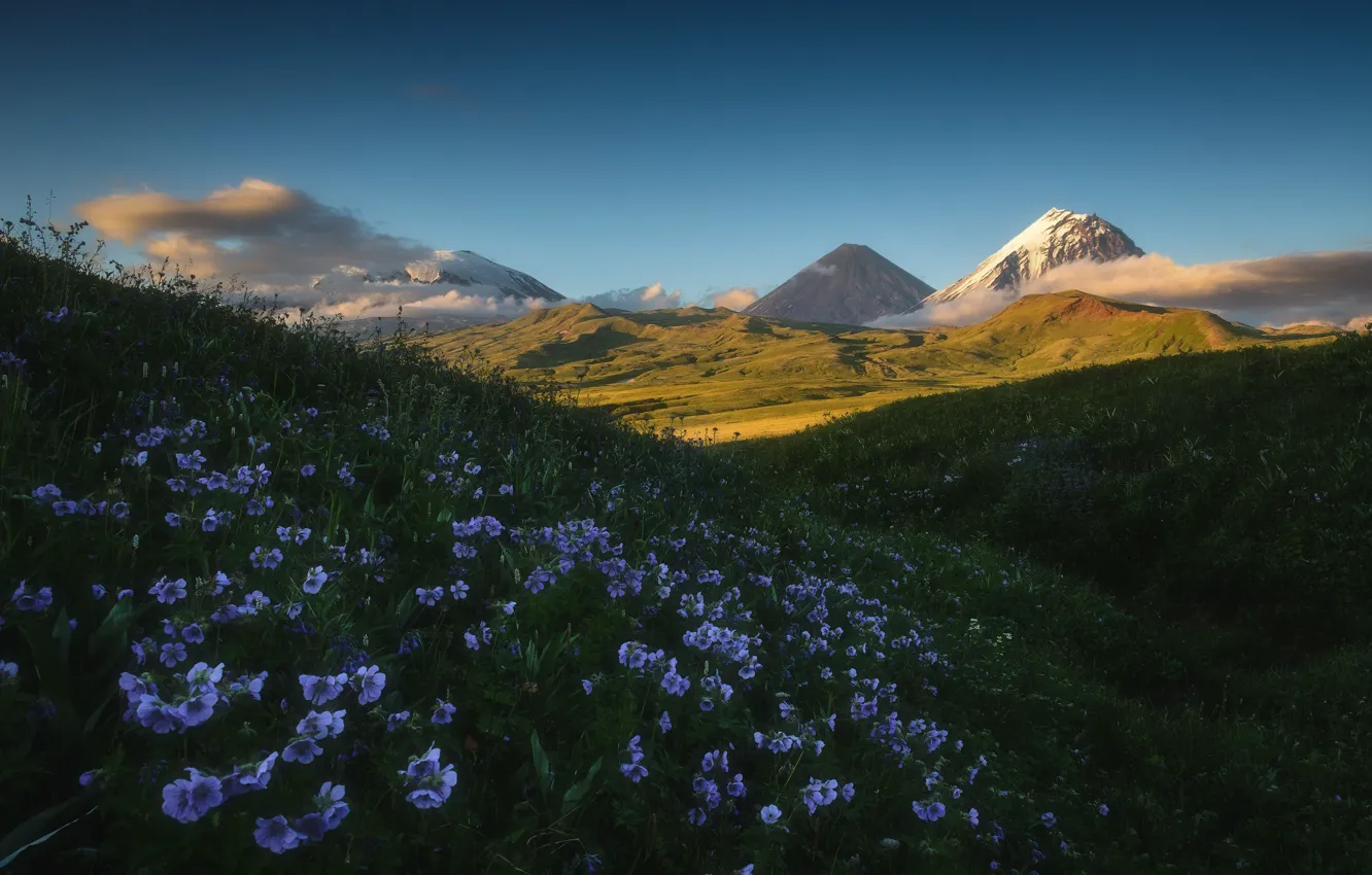 Фото обои трава, облака, пейзаж, цветы, горы, природа, холмы, вулкан