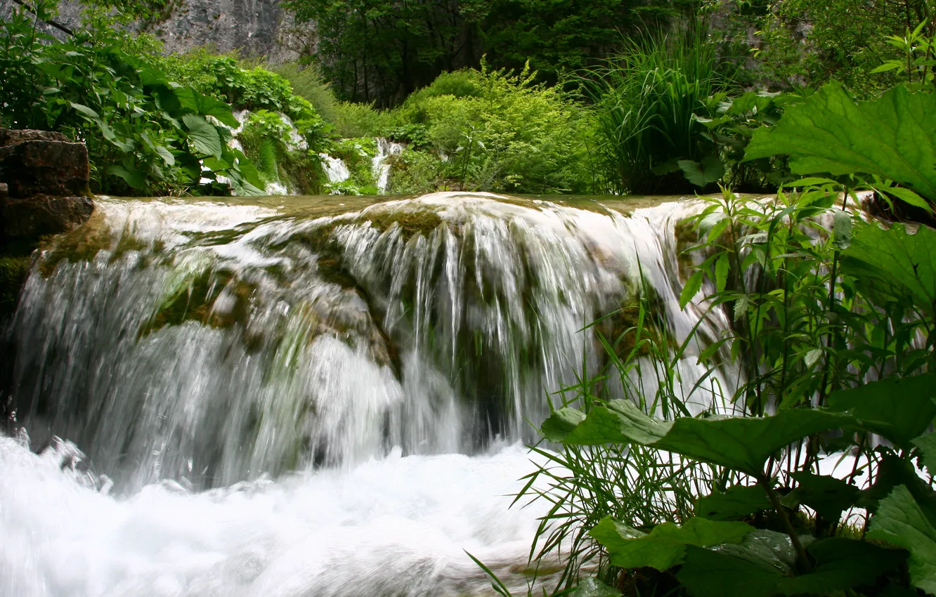 Фото обои зелень, лето, вода, пейзаж, природа, водопадик