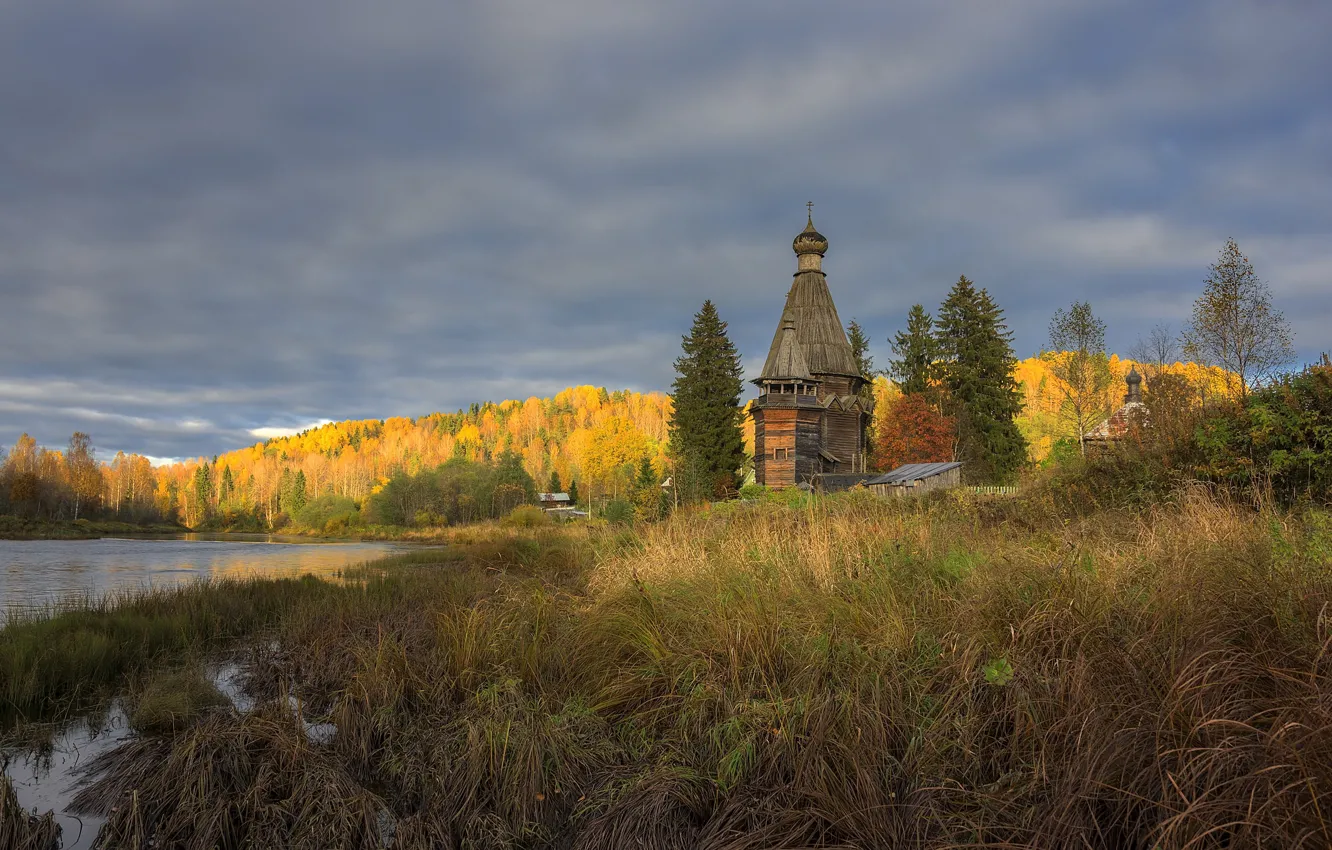 Фото обои осень, вечер, деревня, церковь, Ленинградская область, Согиницы