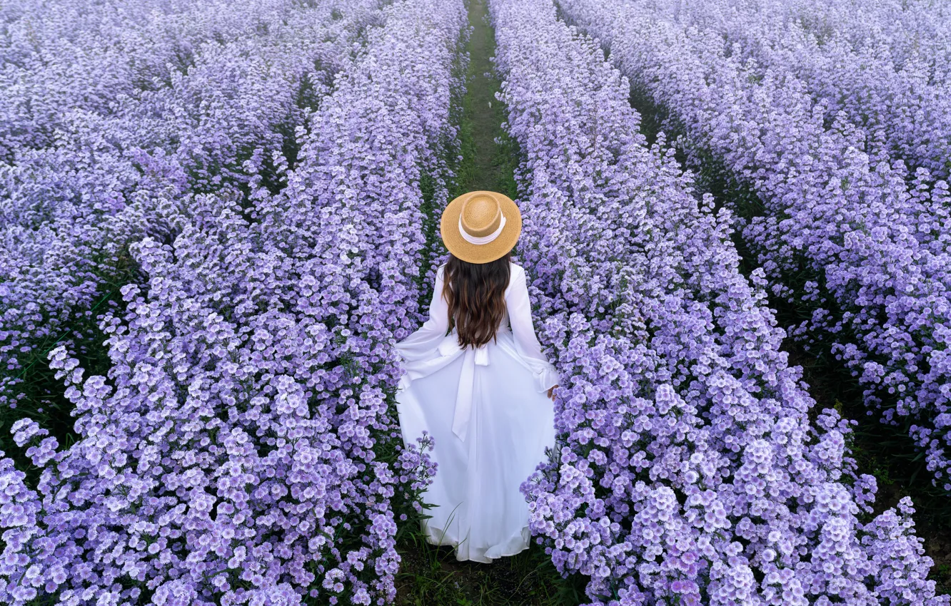 Фото обои поле, девушка, весна, girl, field, blossom, flowers, beautiful