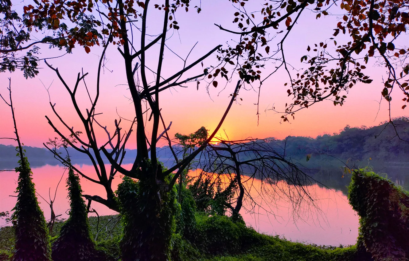 Фото обои Sun, Water, Sunrise, Dawn, Morning, Lake, Trees, Reflection