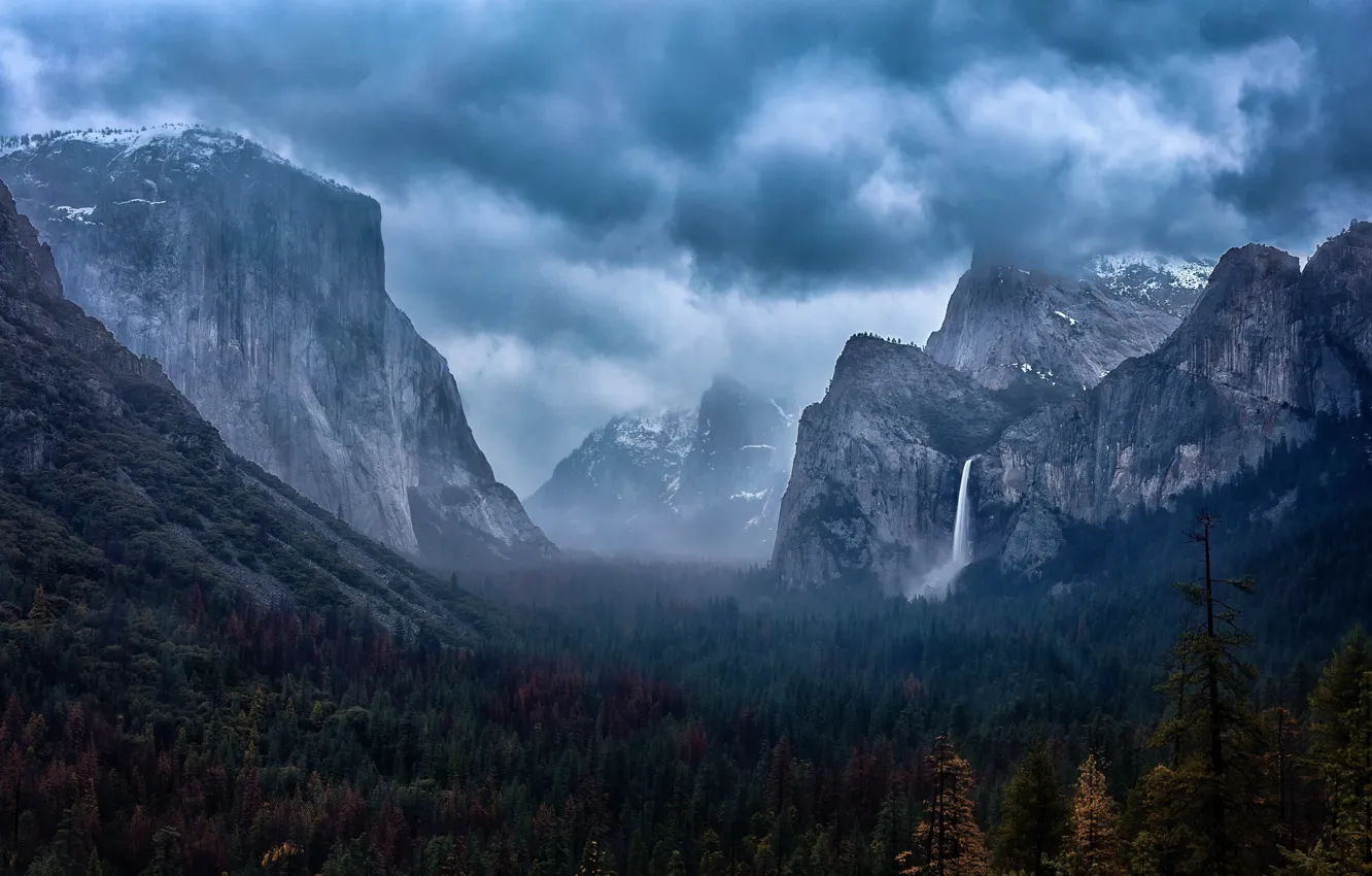 Фото обои лес, горы, Yosemite National Park