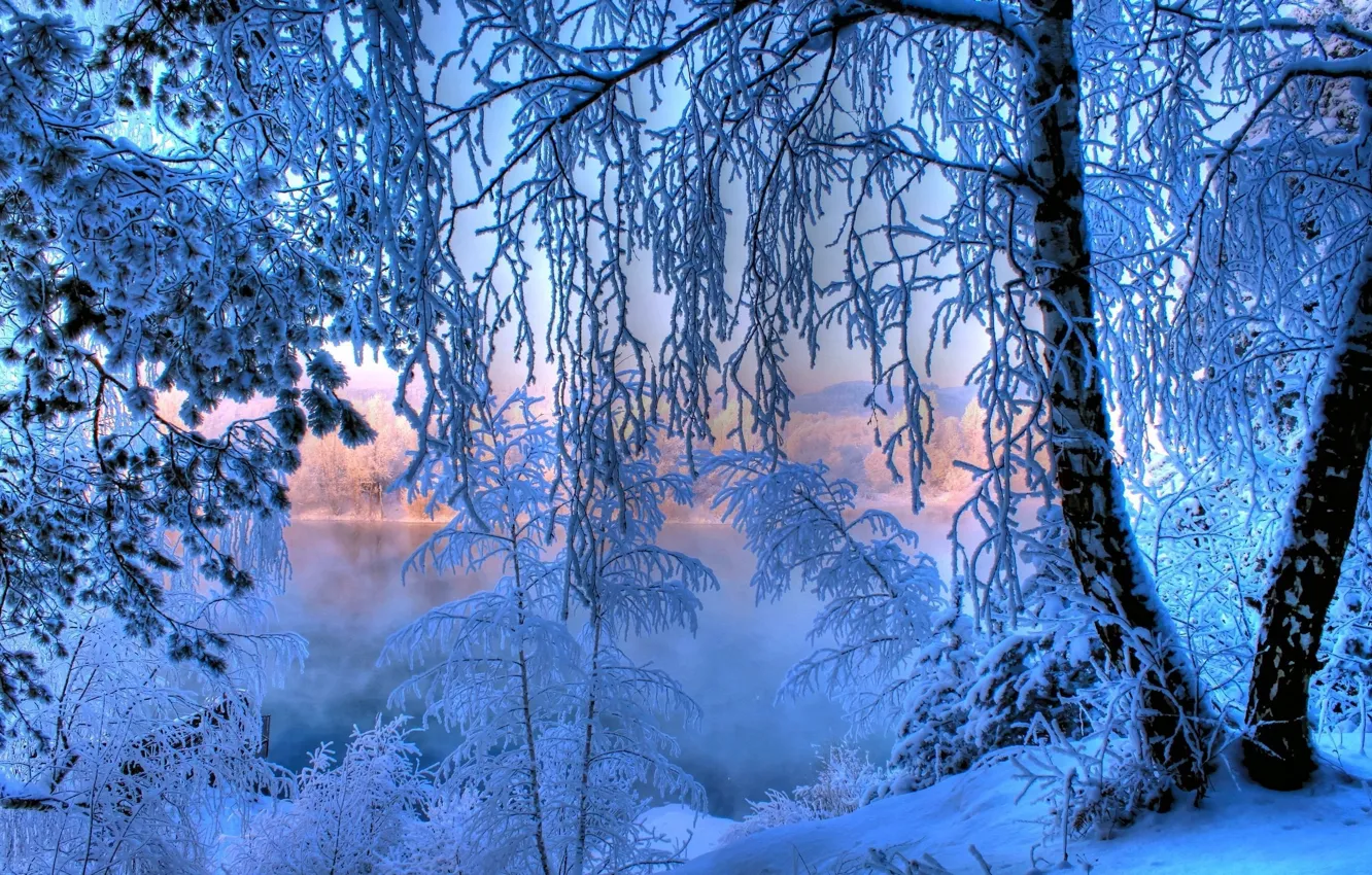 Фото обои иней, лес, снег, озеро, дерево, рассвет, Зима, сказка