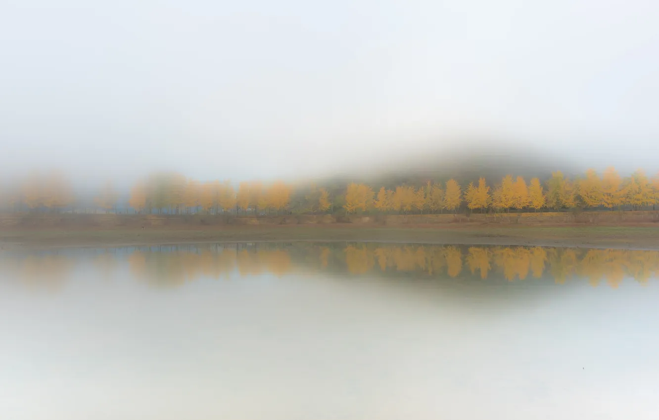 Фото обои осень, туман, озеро
