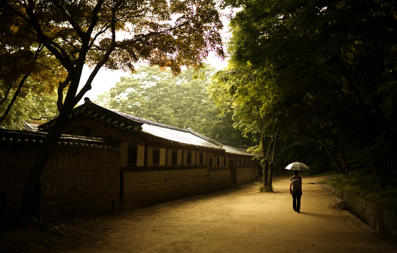 Фото обои девушка, стена, зонт, solace, сеул, дворец процветающей добродетели, дворец чхандок, чхандоккун