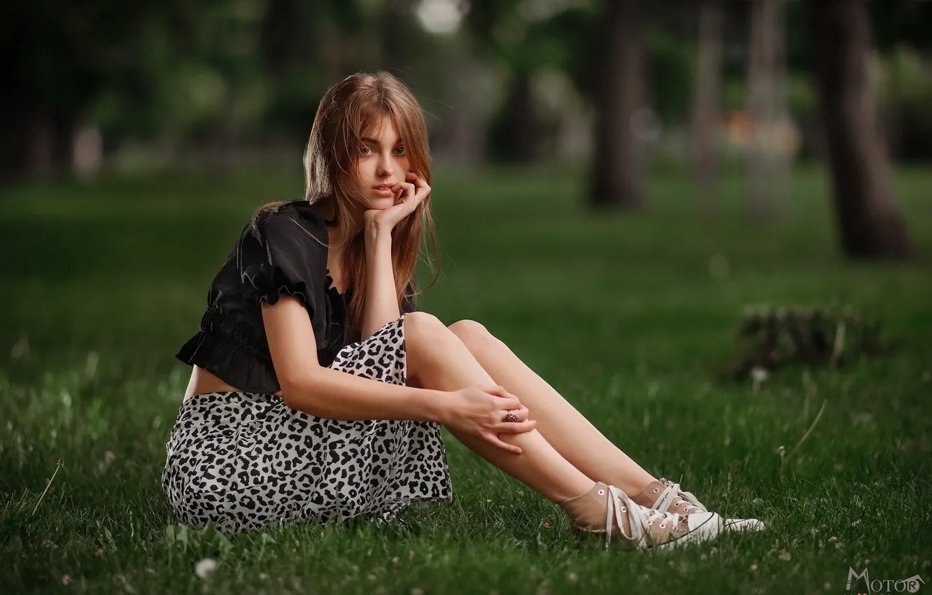 Фото обои девочка, girl, grass, blouse, trees, nature, model, brunette