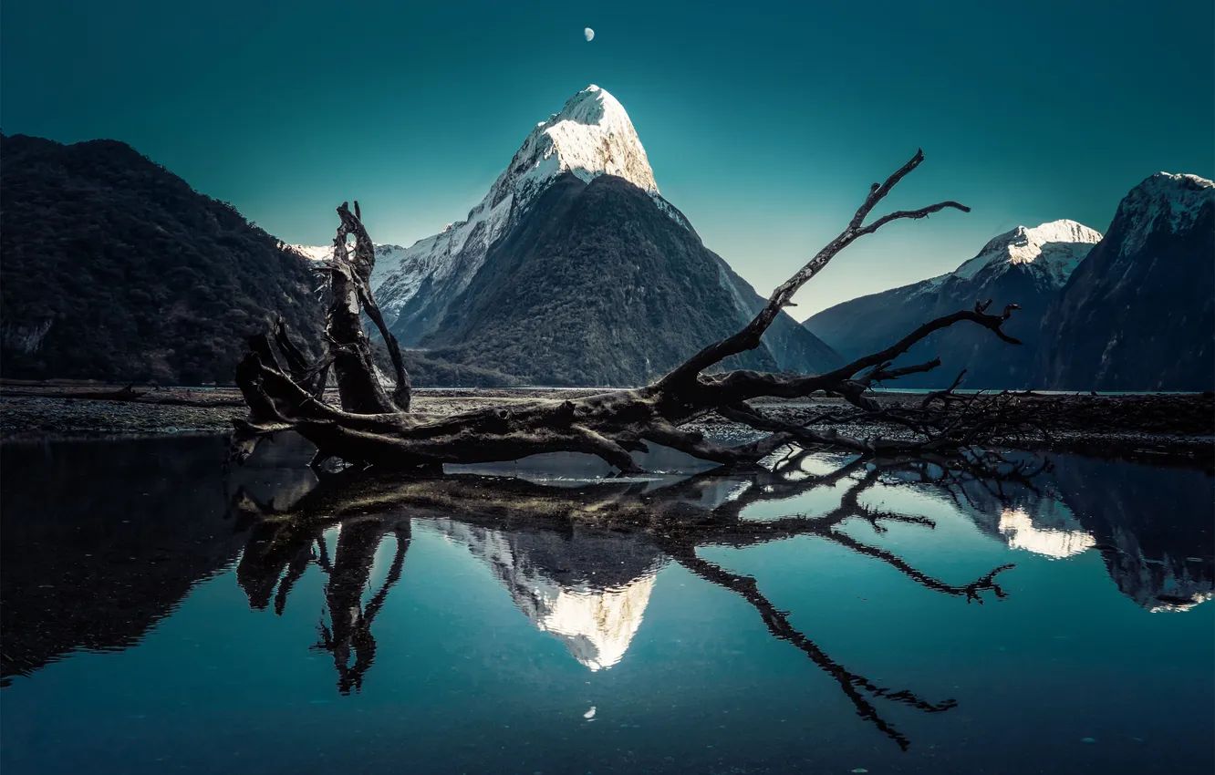 Фото обои пейзаж, горы, озеро, отражение, коряга