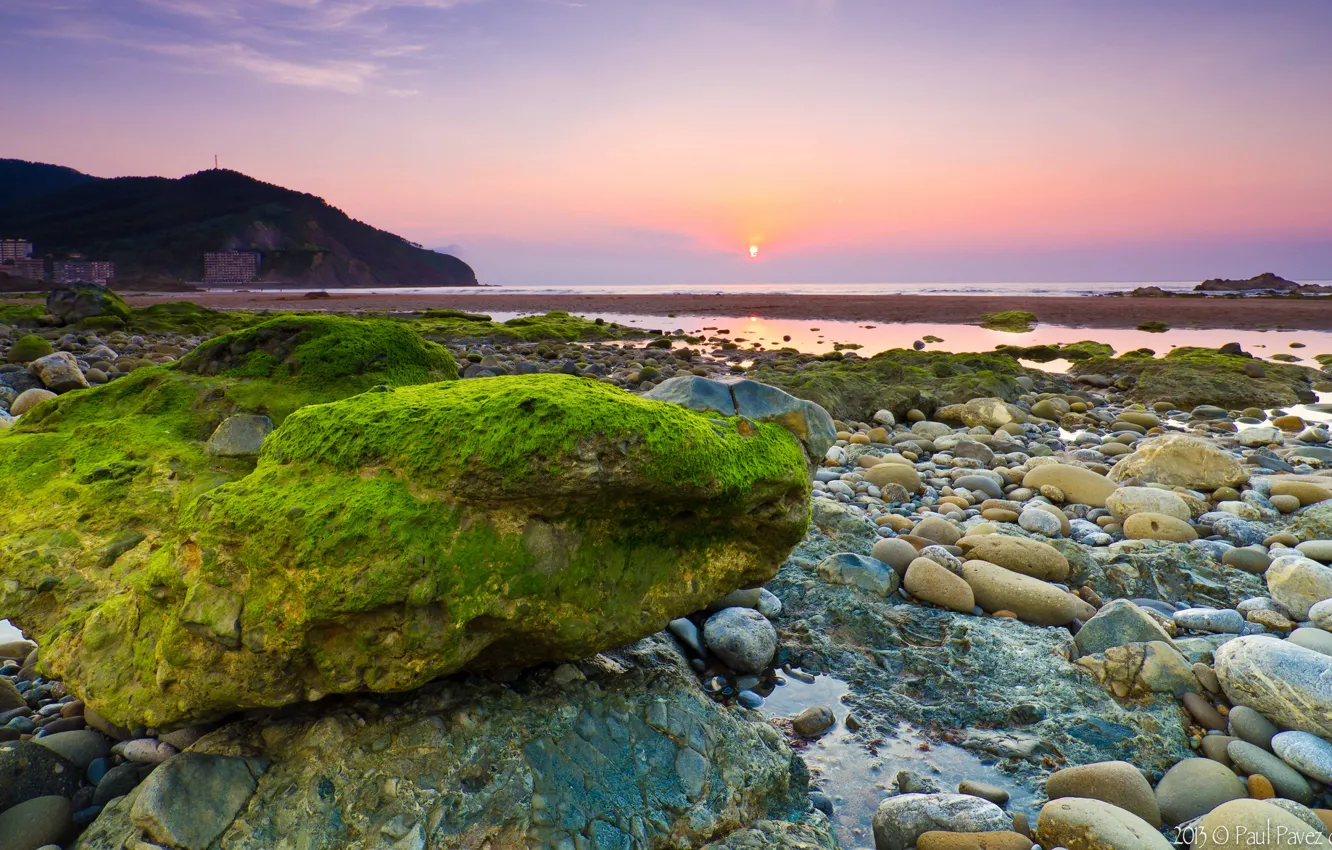 Фото обои море, водоросли, камни, рассвет, камень, утро