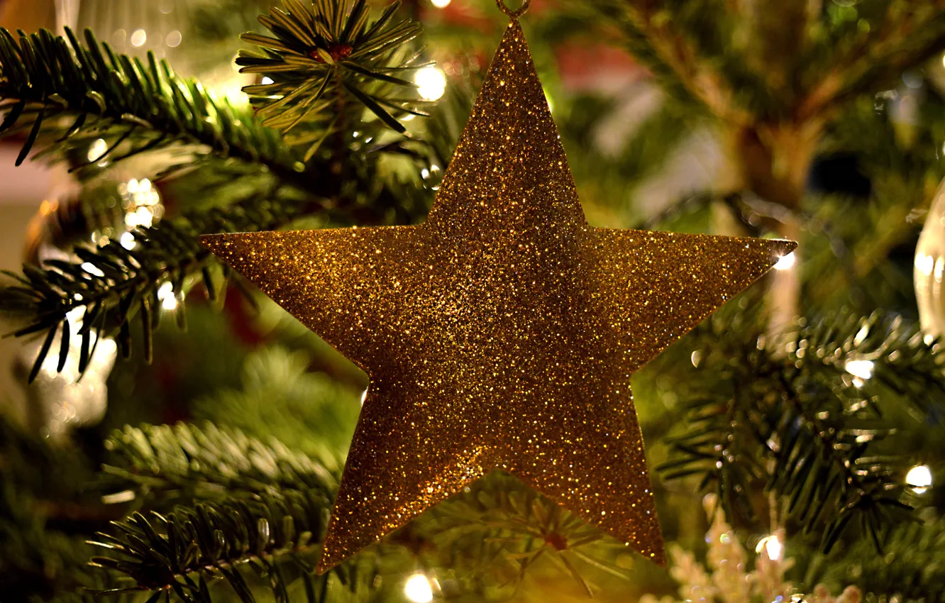 Фото обои праздник, звезда, Рождество, Новый год, хвоя, ёлочные игрушки, новогодние декорации