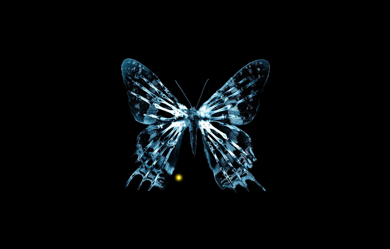 Bones butterfly