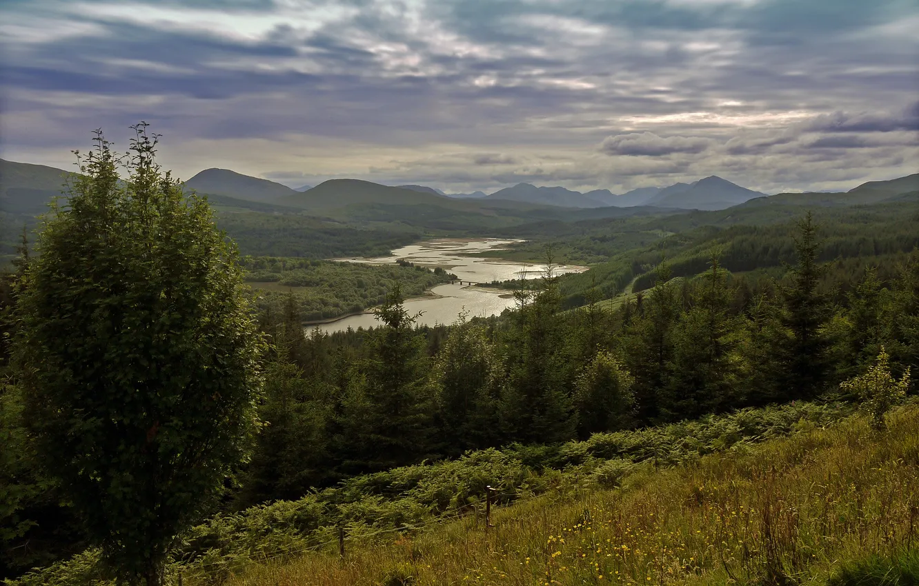 Фото обои лес, горы, тучи, река, дерево, Шотландия