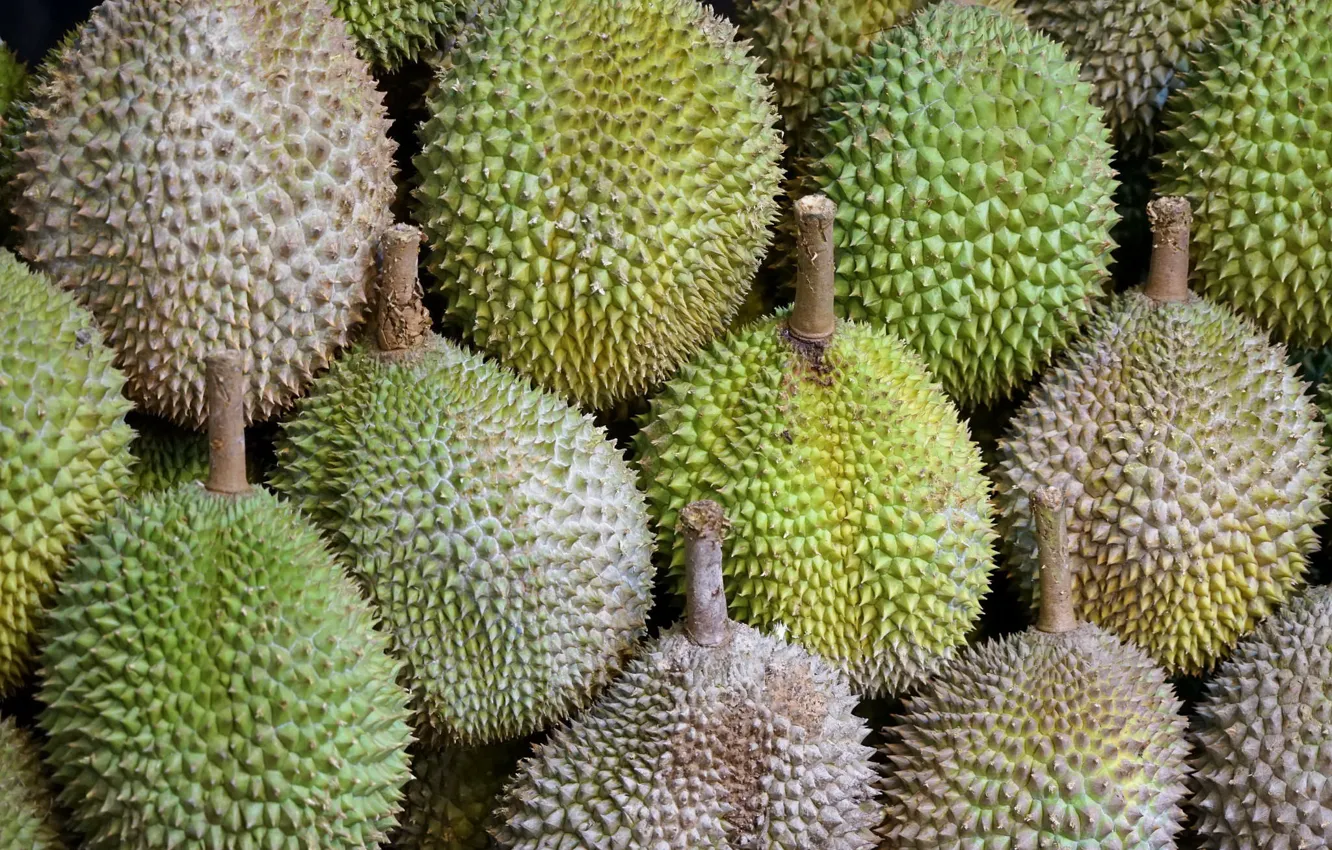Фото обои макро, еда, durian fruit