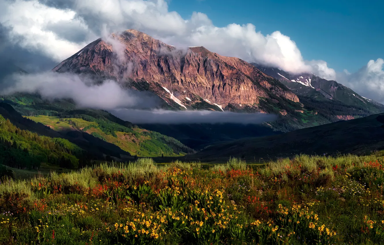 Фото обои лето, небо, облака, цветы, горы, туман, холмы, вершины