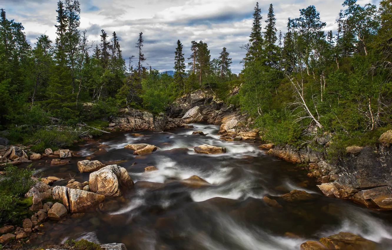 Фото обои лес, камни, Норвегия, речка