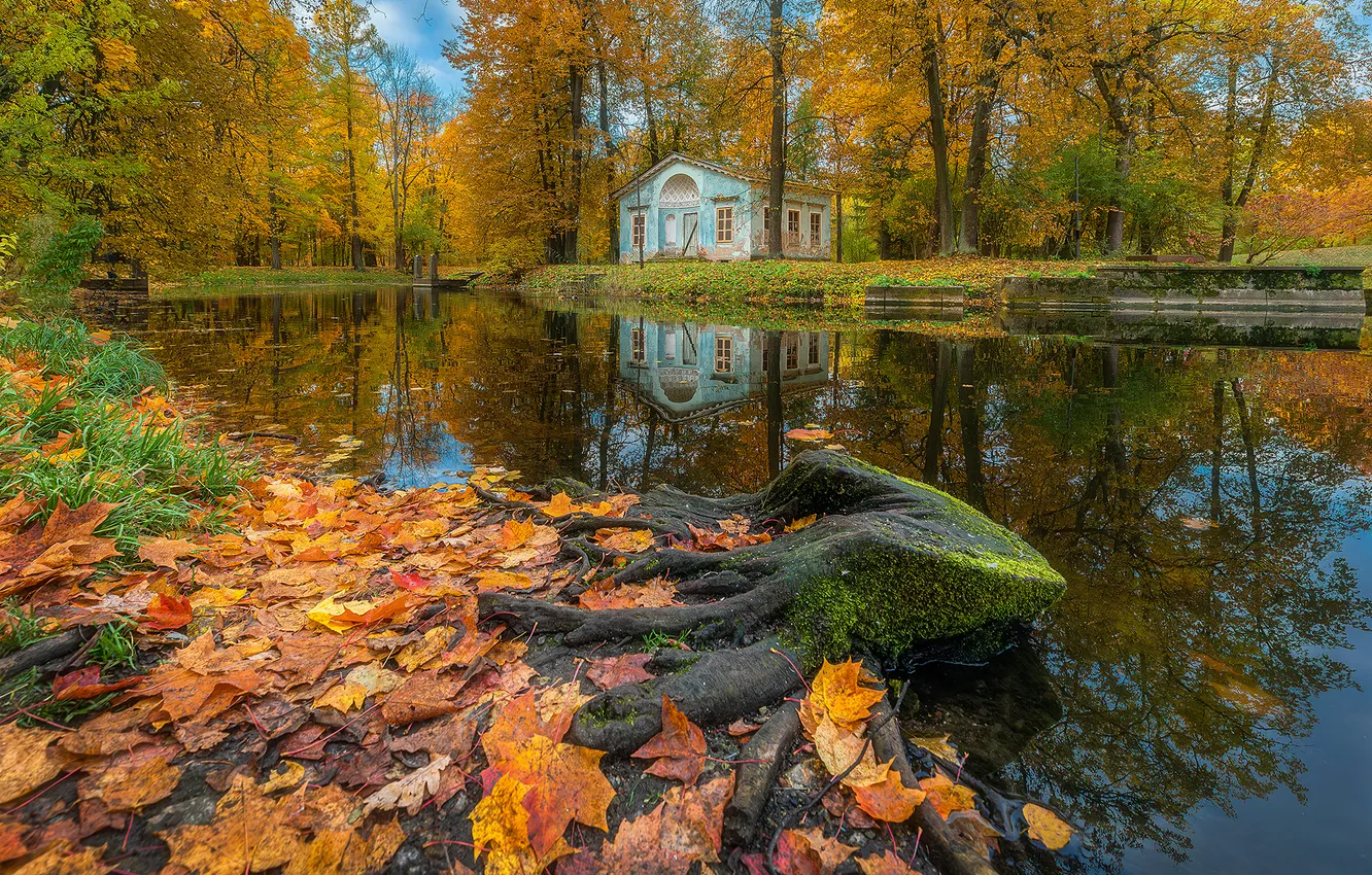 Фото обои trees, water, autumn, reflection, construction
