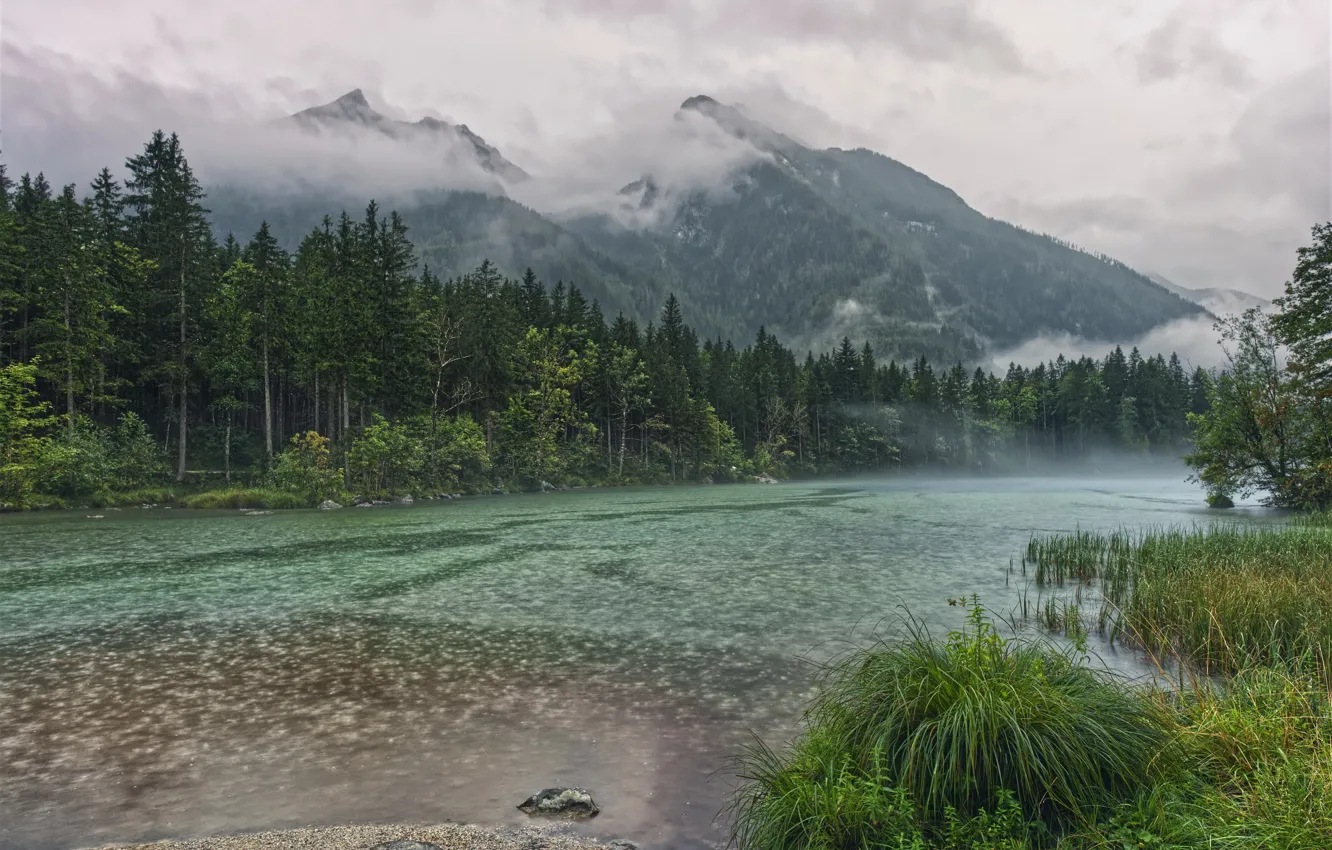 Озеро дождей. Лес горы дождь. Дождь на озере. Lake Rain 5k.